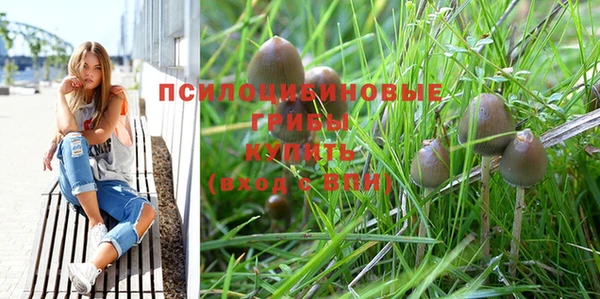 прущая мука Иннополис