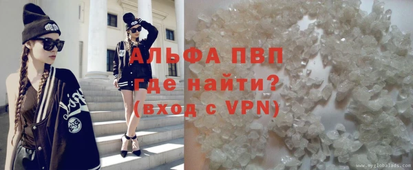 apvp Инта